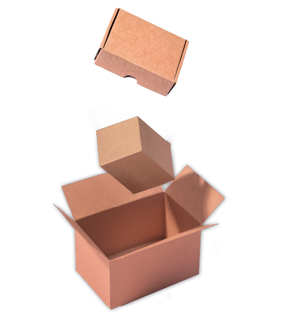 dibujo de caja con planilla